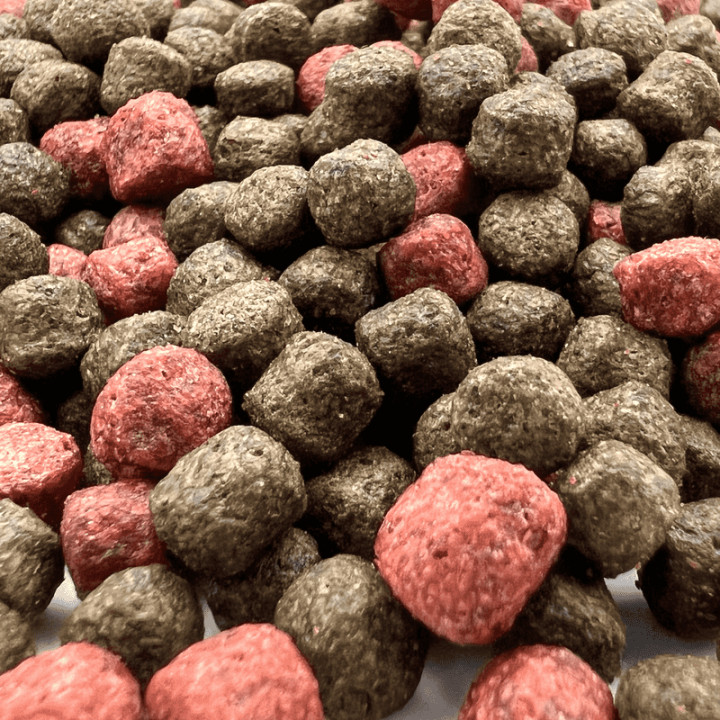 Hrană Koi Colour & Power 6 mm 1000g cu intensificator de culoare