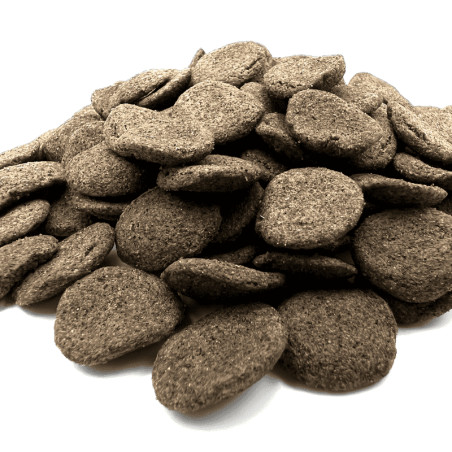 Koi Gulden 500 g ( hrănire din mână)