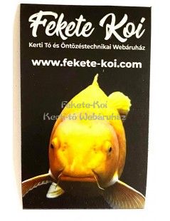 Rola de pânză tablou cu dragon 45x45cm  - fish-farm.ro