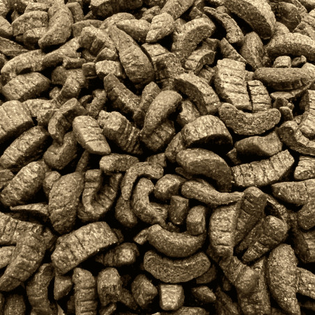 Koi Midori 500 g ( hrănire din mână )