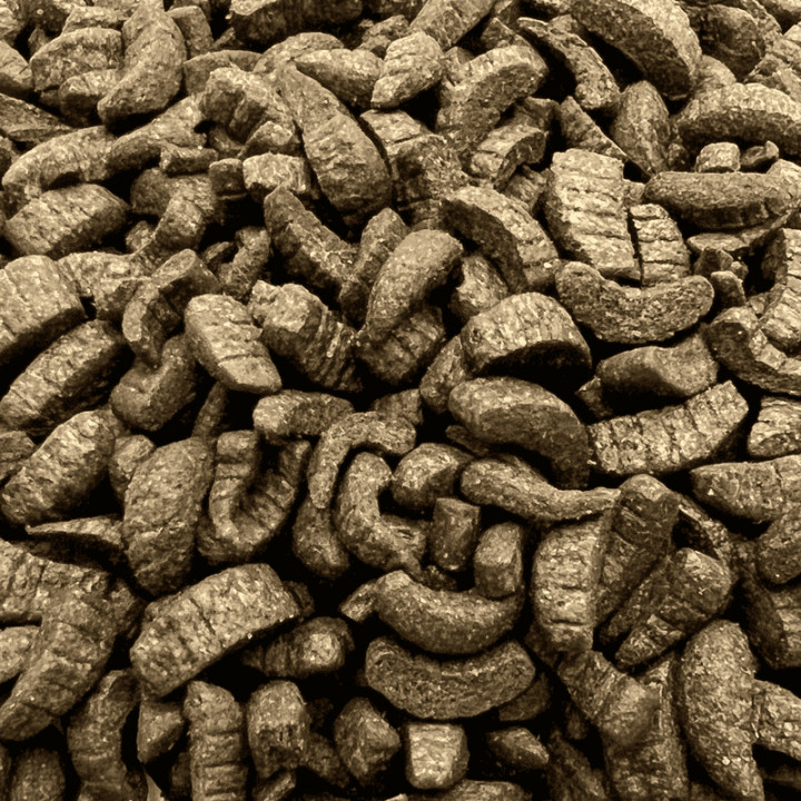 Koi Midori 500 g ( hrănire din mână )