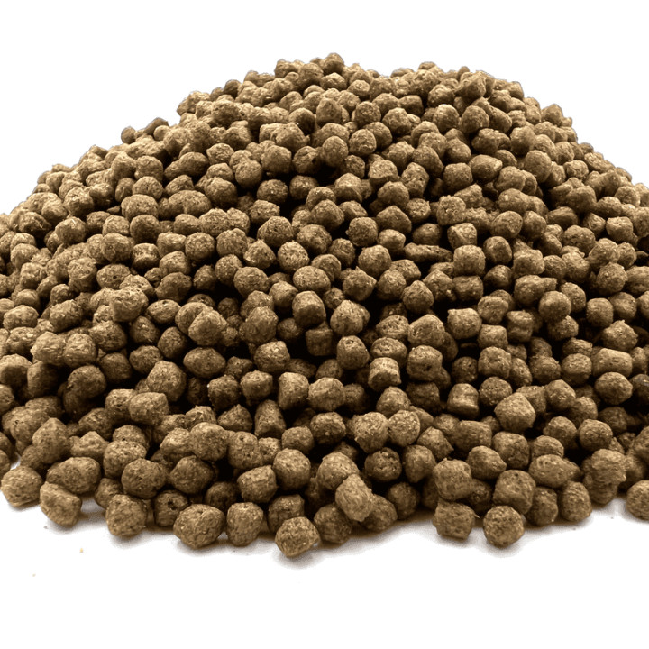 Koi Multi Season 3 mm 1000 g ( hrană pentru pești - primăvară, toamnă )