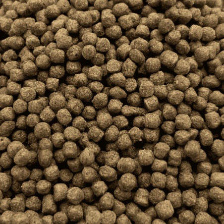 Koi Multi Season 3 mm 1000 g ( hrană pentru pești - primăvară, toamnă )