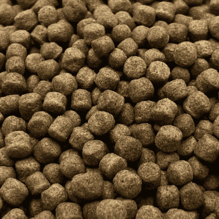 Koi Multi Season 6 mm 1000 g ( hrană pentru pești - primăvară, toamnă )