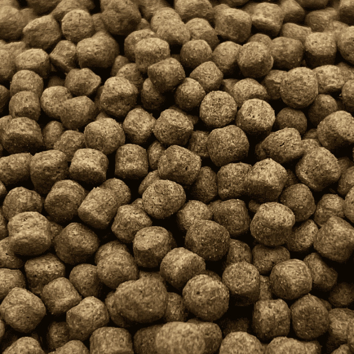 Koi Multi Season 6 mm 1000 g ( hrană pentru pești - primăvară, toamnă )