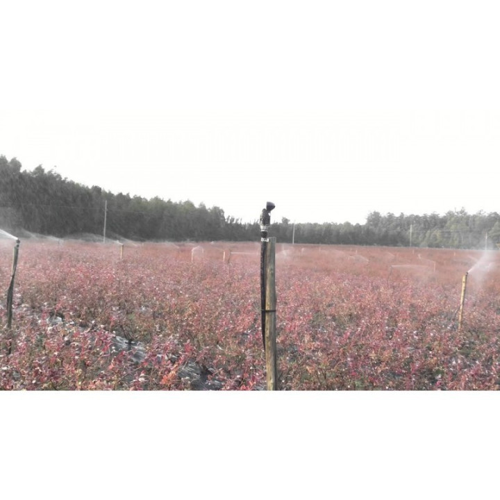 Alimentera Netafim Meganet 12/8mm 100 cm