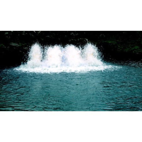 Aerator apa Paddle Wheel (PAD-3.0) 2200w 380V