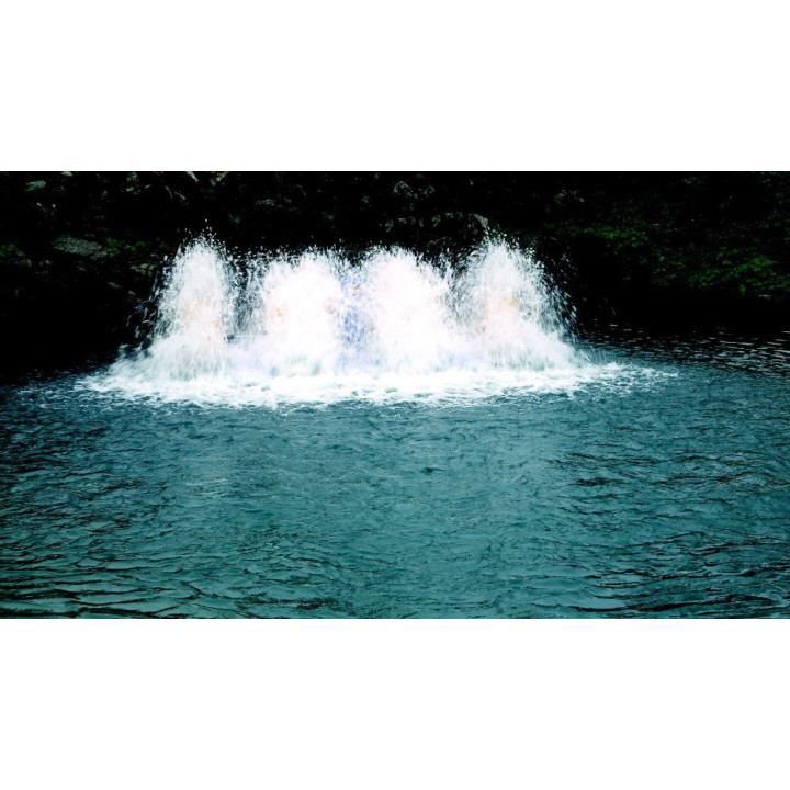 Aerator apa Paddle Wheel (PAD-3.0) 2200w 380V