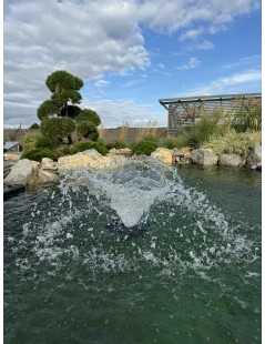 Boyu PY-10000 fântână plutitoare