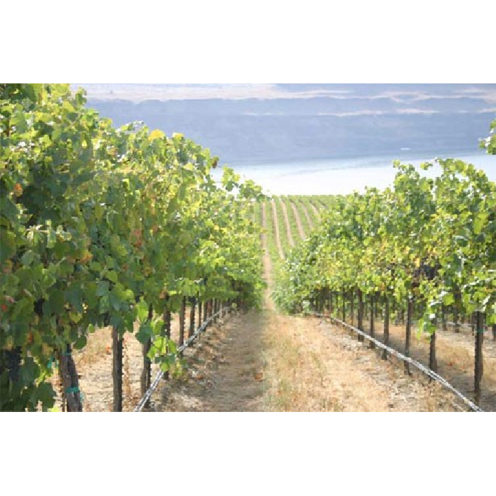 Dynomac PC DN20mm 100cm 2l/h 25m tub picurare compensat de presiune