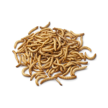 Viermi de faina uscate 500g