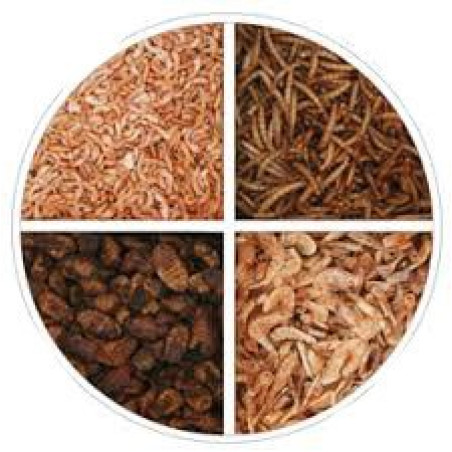 Larve uscate mix (500 Gramm)