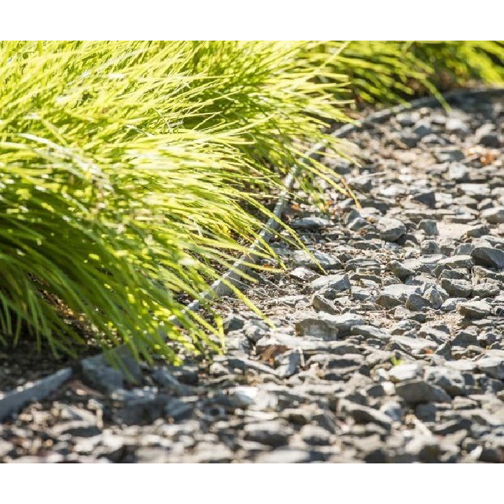 ECOLAT- margine iaz, limitator, bordura 25m X 14 cm  x 0,7 cm rola