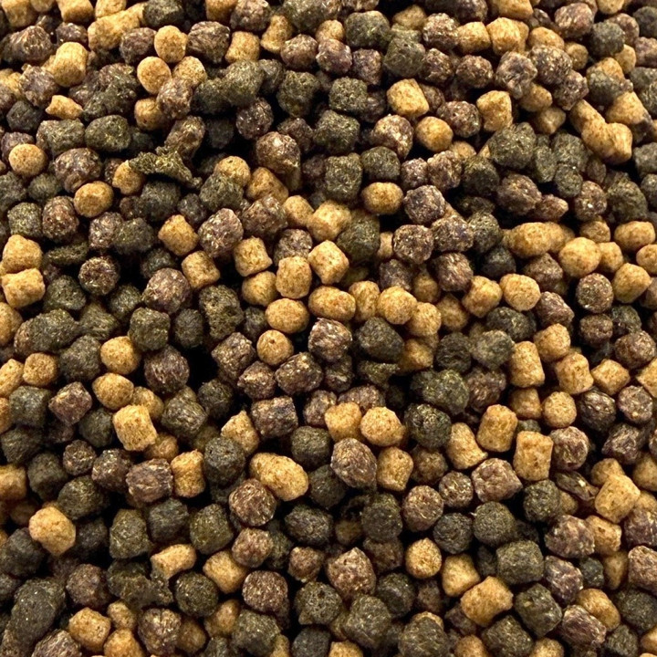 Hrana Koi Colour & Growth 6 mm ( 8000 ml / 3400 g )