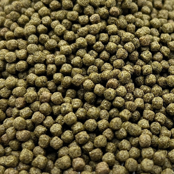 Hrana Coppens Spirulina 3mm (1Kg)
