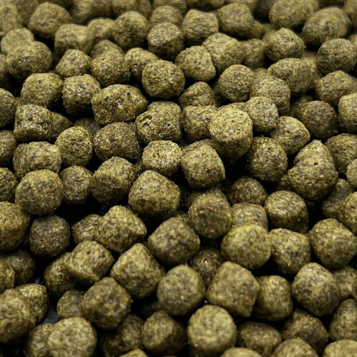 Hrana Coppens Spirulina 6 mm 1 kg