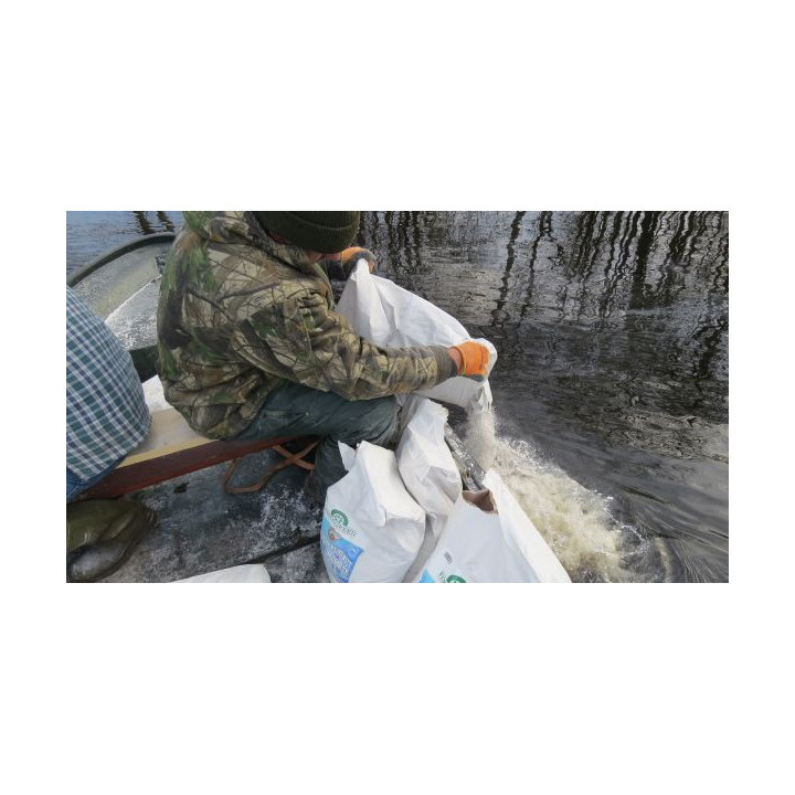 Produse naturale de tratare a apei iazuri mari si mici de gradina. 25Kg