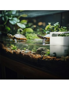 Filtru de apă SunSun XN-400 pentru țestoase și amfibieni