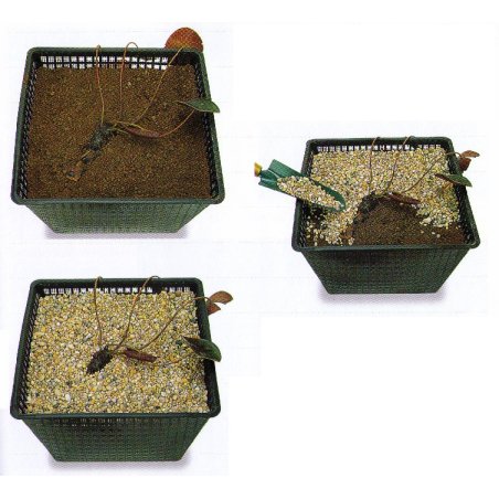 Teu compresiune KPE 40x5/4" FIx40 mm - fish-farm.ro