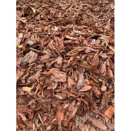 Scoarță decorativă de pin roșu clasa I 60l 20-120mm