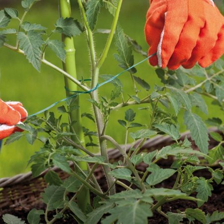 Sârmă de legat verde, plată, cu înveliș de plastic 30m