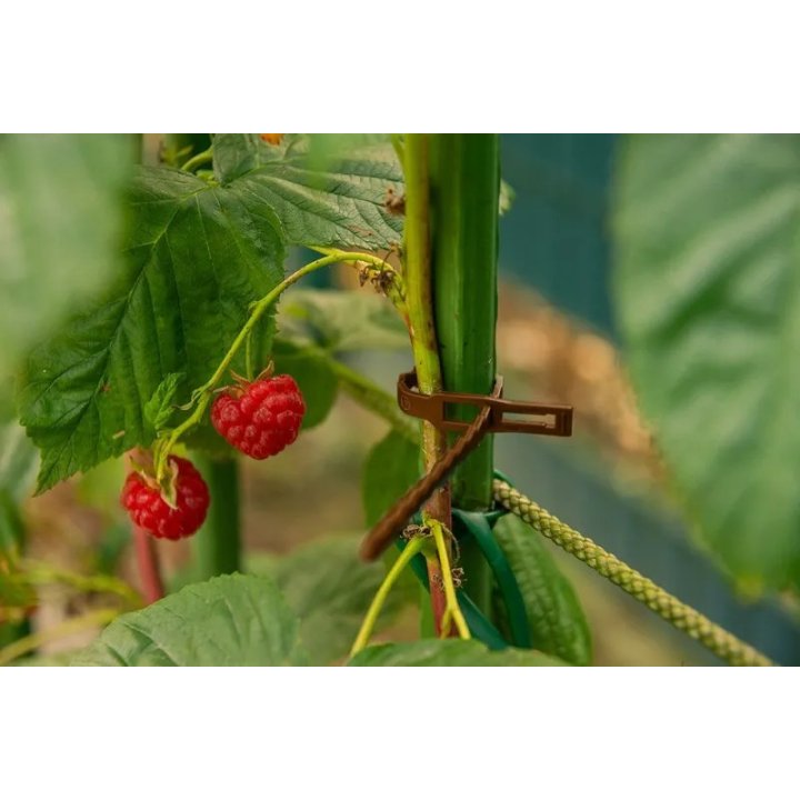 Colier de plastic reutilizabil pentru fixarea plantelor 170/5,4mm maro