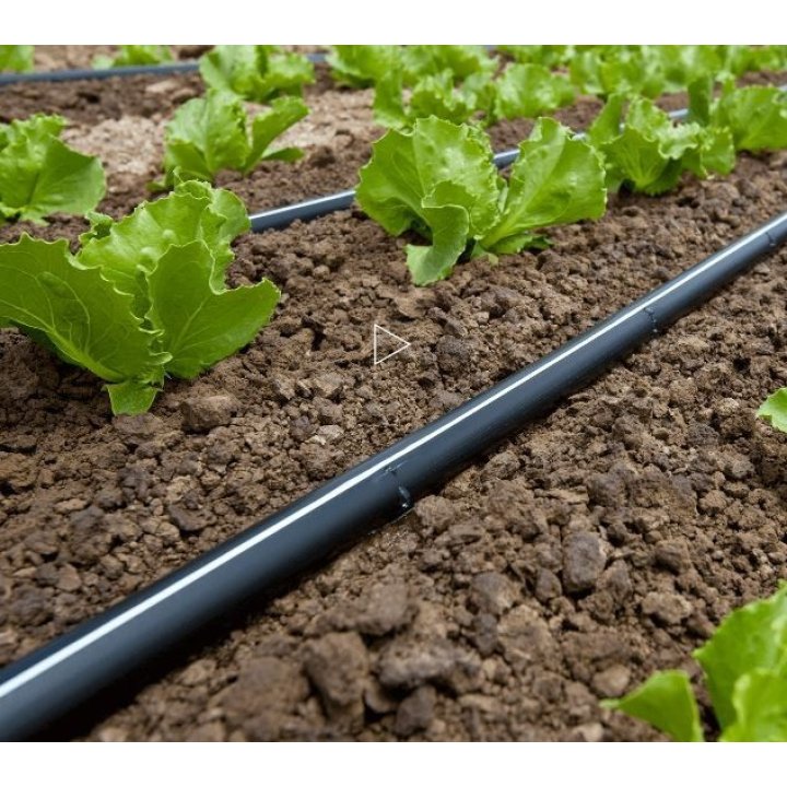 Bandă de picurare Politape 6 mil, 10 cm, 1,5 L / h, 3000 m. Promoție!