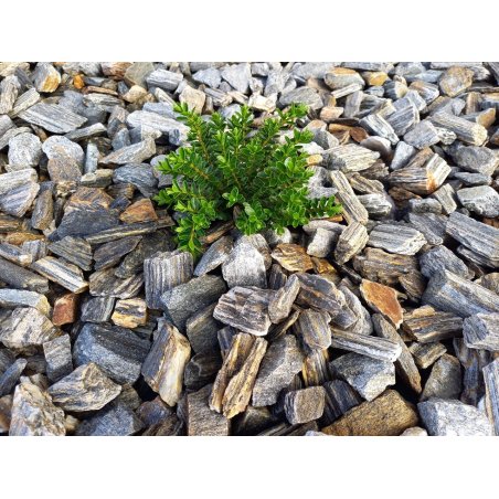 Piatră decorativă Scoarță de piatră 32/63mm