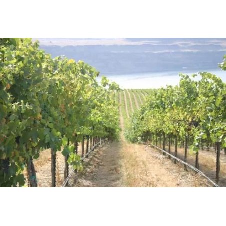 Gamă largă de tuburi de picurare PC|Cele mai bune prețuri