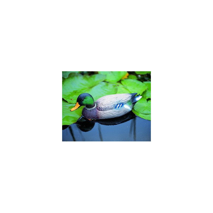 SunSun CWF-30 cascada