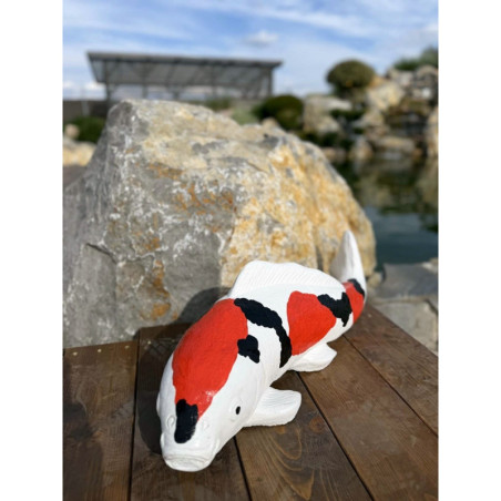 Koi szobor 70cm (színes)