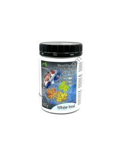 Home Pond Winter Pond 500g – anti-alge pentru iarnă