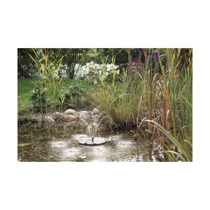 Pontec PondoSolar  Lily Island