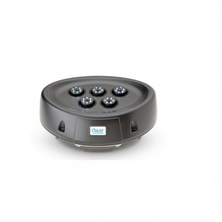 Fantana arteziana Oase Water Starlet