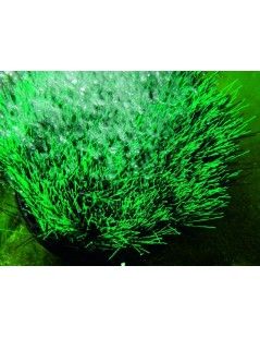 Aerator iaz Oase OxyTex 1000 CWS set (15W)