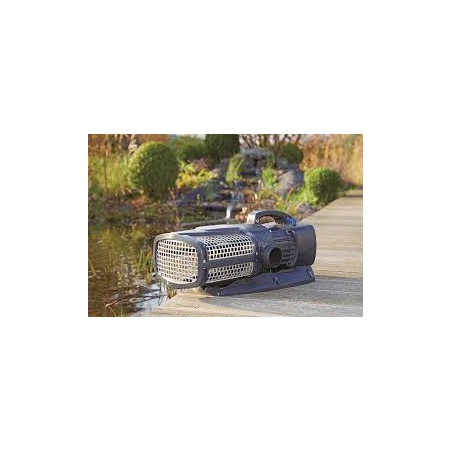 AquaMax Eco Expert 20000 /12 V