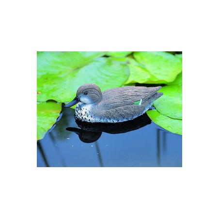 Rata Mallard femela 31cm