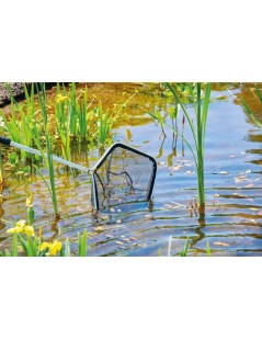 Oase Pond net rectangular - Plasă dreptunghiulară pentru iaz (84297)