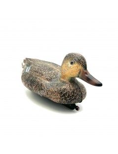 Rata salbatica mascul, 40cm