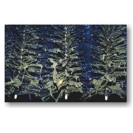 Standard perie filtru (30x15 cm)