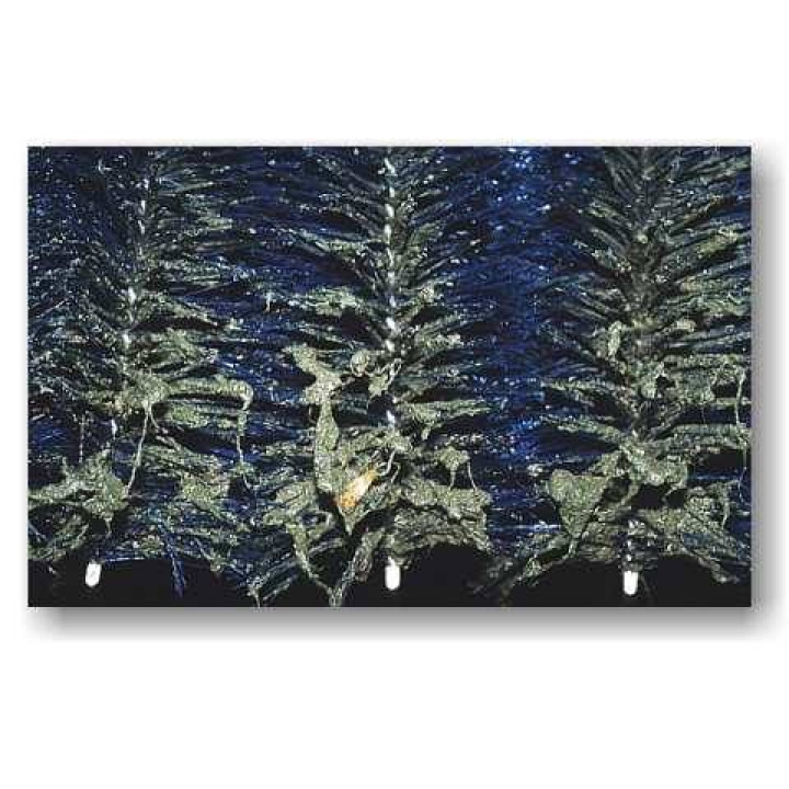 Standard perie filtru (30x15 cm)