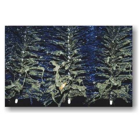 Standard perie filtru (50x15 cm)