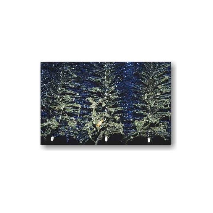 Standard perie filtru (80x15 cm)