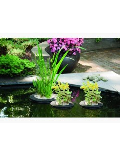 Velda Floating Plant Island úszó ültetõ kosár kerek 35 cm