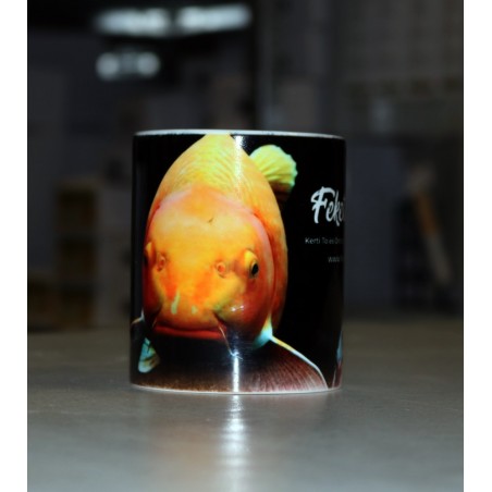 Cana Kois - fish-farm.ro