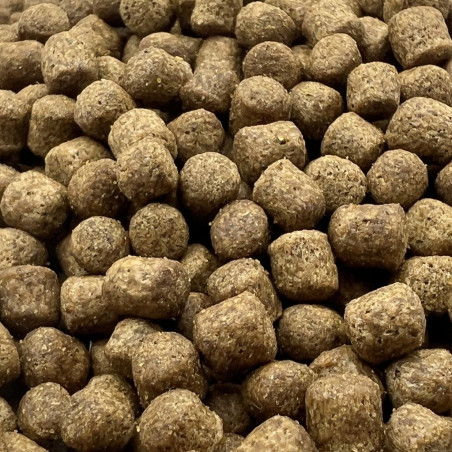 Hrana Coppens Orange 6mm (1Kg)