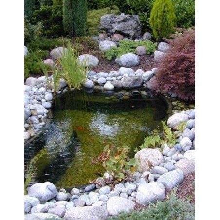 Bazin prefabricat de plastic IRIS SI 150 L