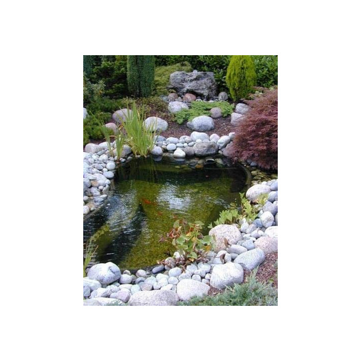 Bazin prefabricat de plastic IRIS SI 150 L