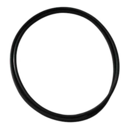 Oring SunSun CPF 280 - fish-farm.ro