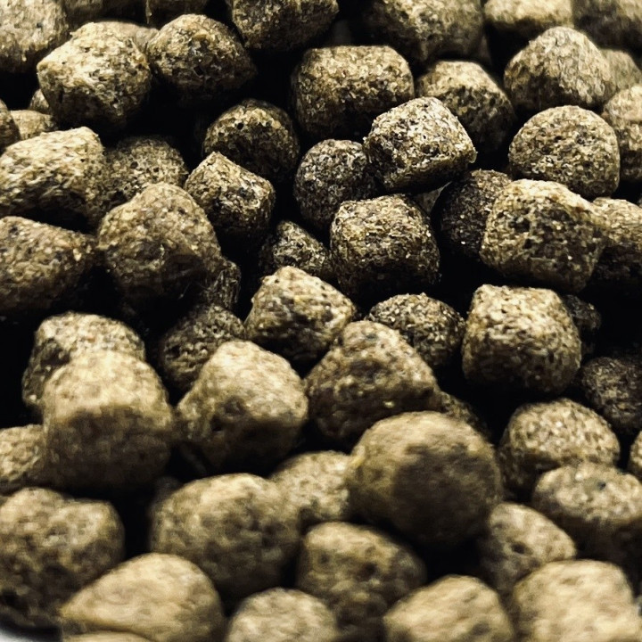 Hrana Coppens Staple perfect 6mm (15Kg)